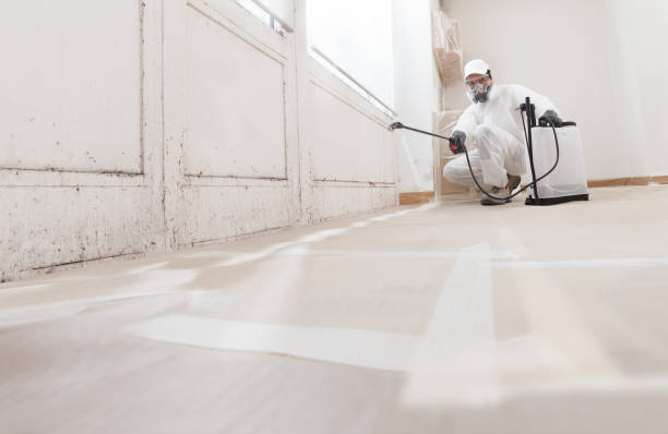 24/7 Emergency Mold Remediation experts in Bellwood, VA